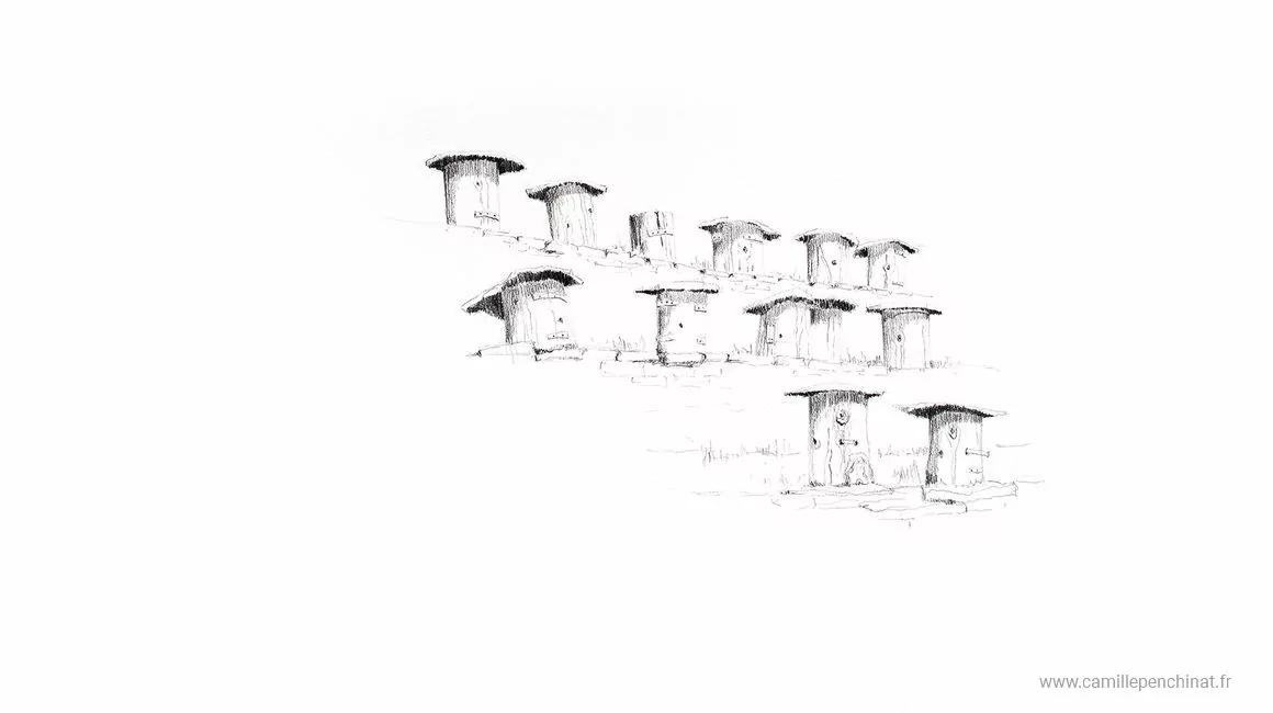 Cévennes : regards croisés