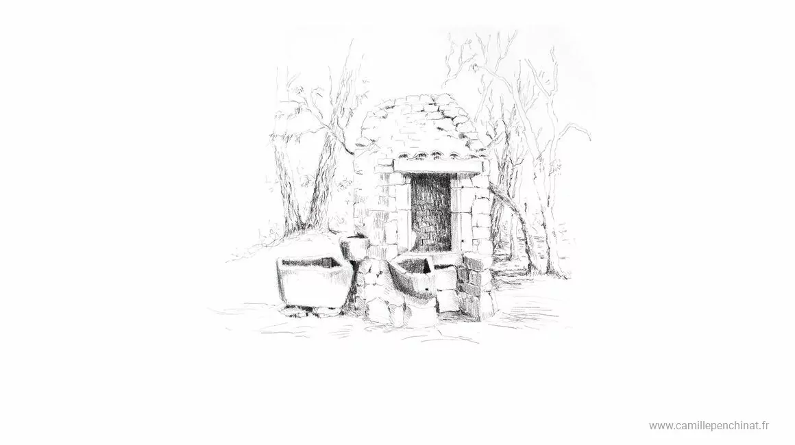Cévennes : regards croisés