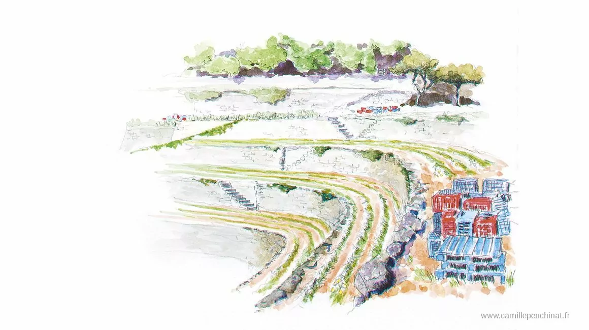 Cévennes : regards croisés