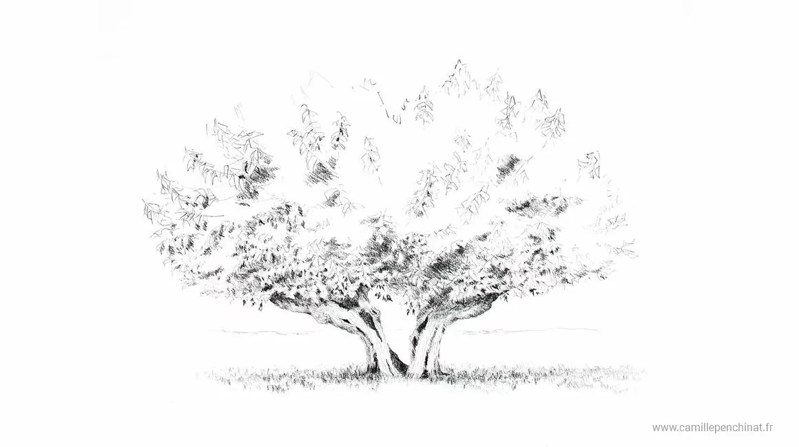 Cévennes : regards croisés