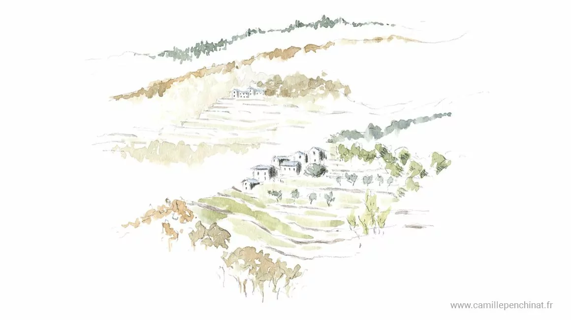 4 saisons en Cévennes