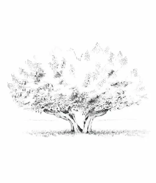Accueil – arbre